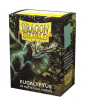 Koszulki Dragon Shield Dual Matte Sleeves - Eucalyptus (100 Sleeves)
